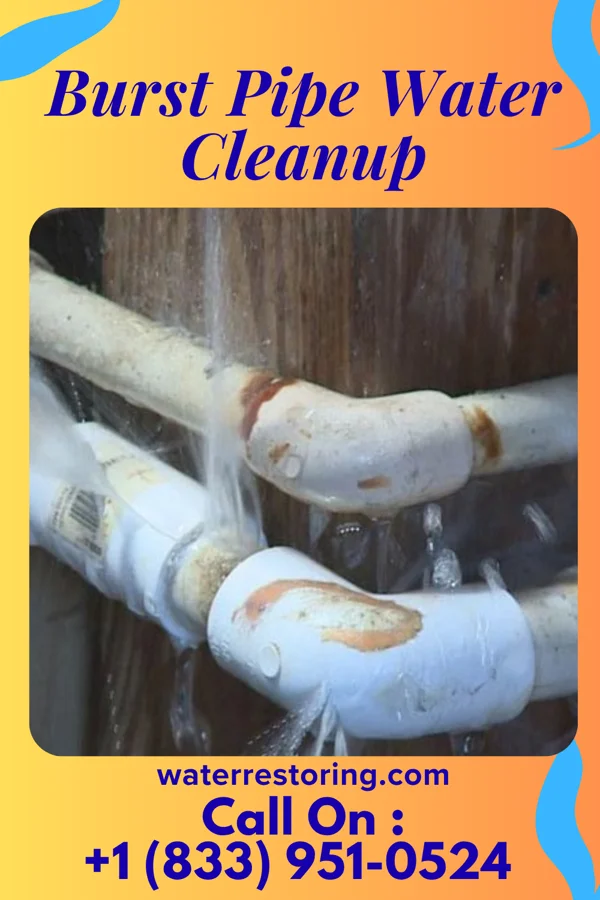 Burst Pipe Water Cleanup in Monticello, NY