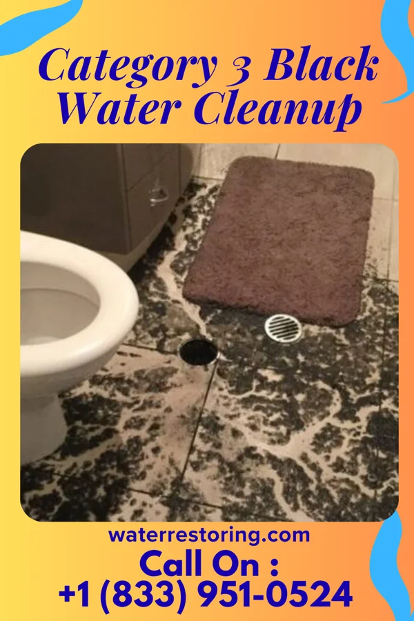 Category 3 Black Water Cleanup in Monticello, NY